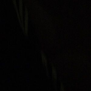 Meet your Posher, Ali